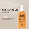 hydrating hair spray
